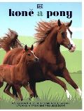 Slovart Kon a pony