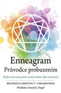 Synergie Enneagram - Prvodce probuzenm