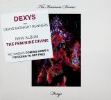 Dexys Feminine Divine