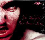 Mem Swining - Red Raw & Sore