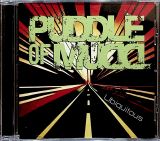 Puddle Of Mudd Ubiquitous