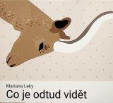 Tympanum Leky: Co je odtud vidt