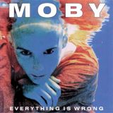 Moby Everything Is Wrong