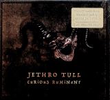 Jethro Tull Curious Ruminant