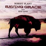 Plant Robert Saving Grace