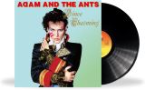 Adam & The Ants Prince Charming