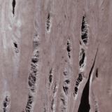 Warner Music Torn (limited Clear Vinyl)