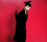 Bilina �imon�-�Severn� album