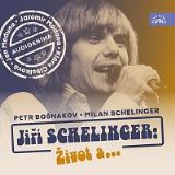 Schelinger Ji�� Ji�� Schelinger: �ivot a...