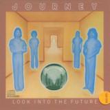 Journey Look Into The Future