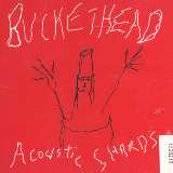 Buckethead Acoustic Shards