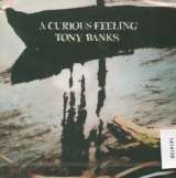 Banks Tony A Curious Feeling