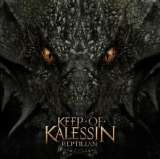 Keep Of Kalessin Reptilian