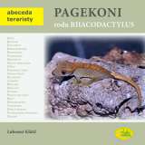 Kltil Lubomr Pagekoni rodu Rhacodactylus - Abeceda teraristy