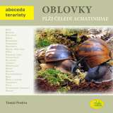 Robimaus Oblovky pli eledi achatinidae - Abeceda teraristy