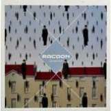 Racoon Liverpool Rain