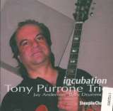 Purrone Tony Incubation