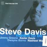 Davis Steve Meant To Be
