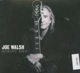 Walsh Joe Analog Man