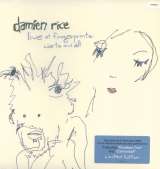 Rice Damien Live at Fingerprints: Warts And All
