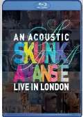 Skunk Anansie An Acoustic Skunk Anansie - Live In London