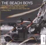 Beach Boys Icon