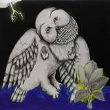 Songs: Ohia Magnolia Electric Co. - 10 Year Anniversary Deluxe Edition