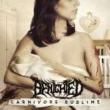 Benighted Carnivore Sublime