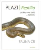 Academia Plazi - Fauna R