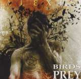 Pitch Black Birds Of Prey