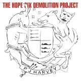 Universal Hope Six Demolition Project (VINYL)