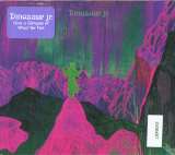 Dinosaur Jr. Give a Glimpse of What Yer Not