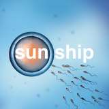 Brian Jonestown Massacre Sun Ship-10"