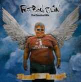 Fatboy Slim Why Try Harder - The Greatest Hits