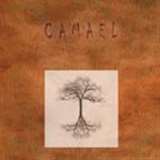 Indies Happy Trails Camael