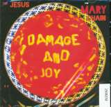 Jesus & Mary Chain Damage And Joy