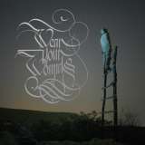 Warner Music Wyw