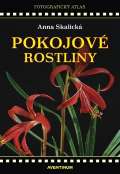 Aventinum Pokojov rostliny