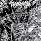 Regain Primordial Malignity