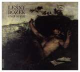 Unzipped Fly Records Lesny Bozek