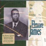 James Elmore Sky Is Crying - History Of