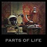 Kalkbrenner Paul Parts Of Life