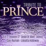 Prince Tribute To Prince