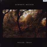 Erased Tapes Fallen Trees