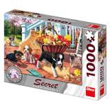 Dino tata: secret collection puzzle 1000 dlk