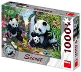 Dino Pandy: secret collection puzzle 1000 dlk