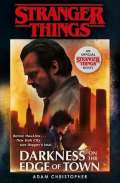 Cornerstone Stranger Things: Darkness on the Edge of Town : The Second Official Novel