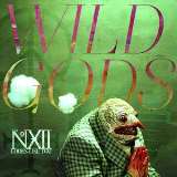 Warner Music Wild Gods (modroerven 2LP)