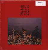 Bonnie Prince Billy I Made A Place