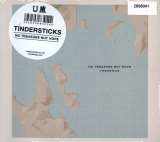 Tindersticks No Treasure But Hope